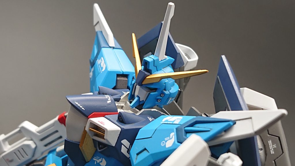 頭部に近づいて撮影。