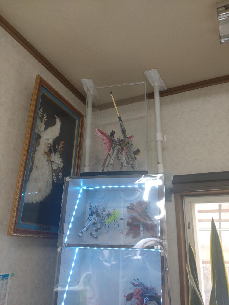 1番上に展示。光当たらないから暗いけどヨシとしよう(๑•̀ㅂ•́)و✧