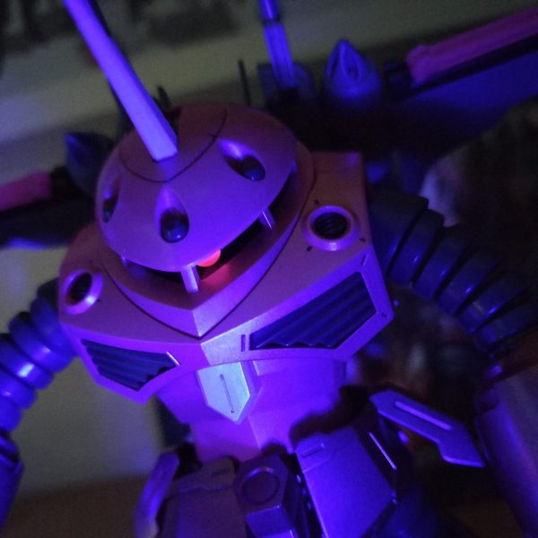 フリーダムのズゴック