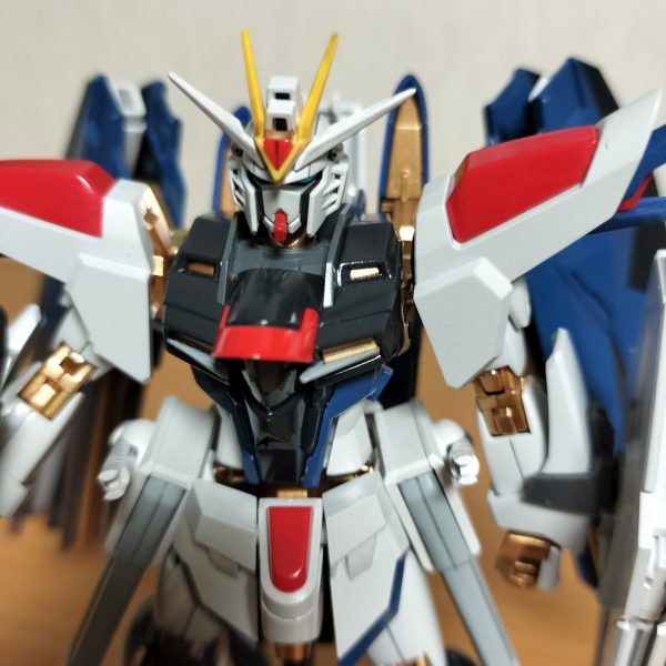 ライジングフリーダム弐式‥みたいな