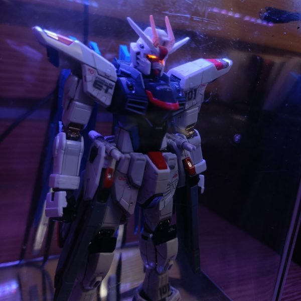 フリーダム電飾