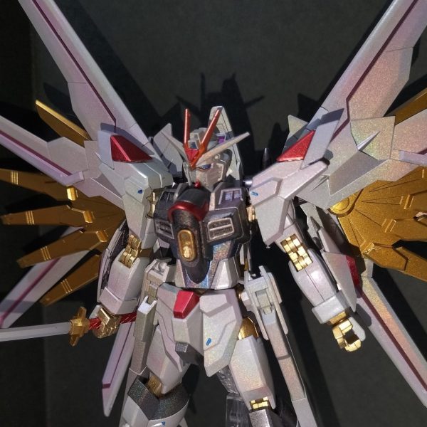 マイティーストライクフリーダムガンダム