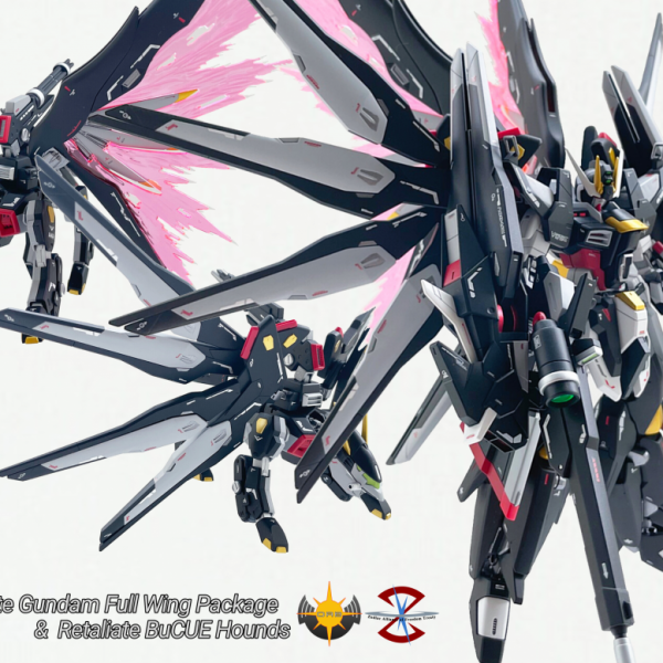 HGBF ストライクフリーダム  リタリエイト フルウィング & リタリエイトバクゥハウンズ