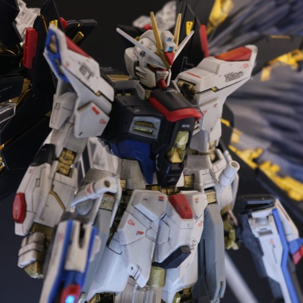 塗装完成品 RG ストライクフリーダムガンダム 光の翼 オリジナルカラー 塗装完成品 RG ストライクフリーダムガンダム 光の翼 オリジナル