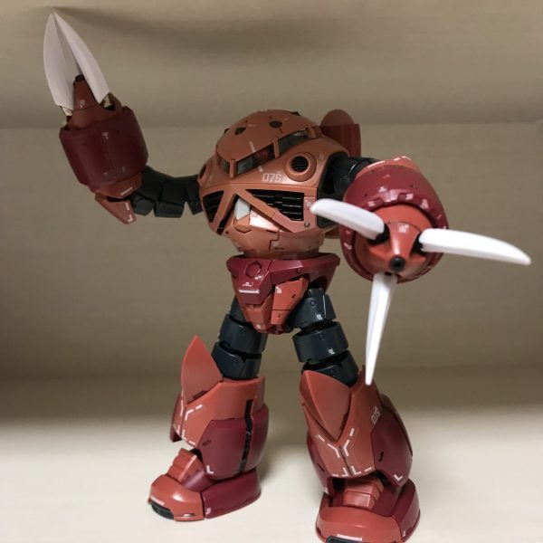 ズゴック　シャア専用　RG