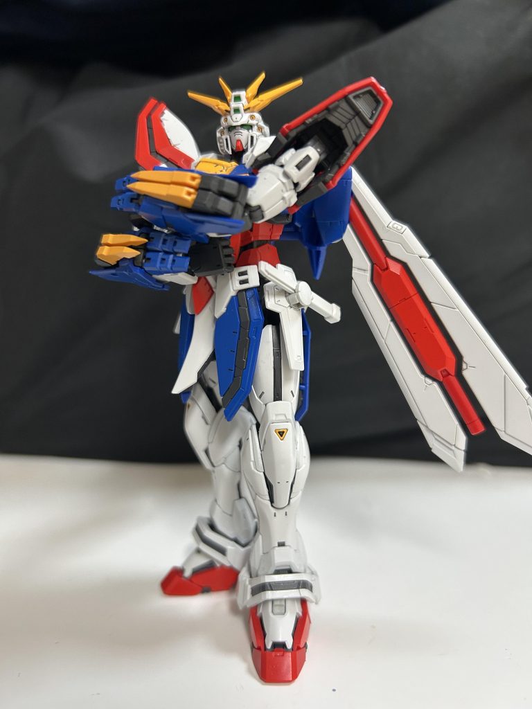 オレとのファイト!受けてもらうぞ！