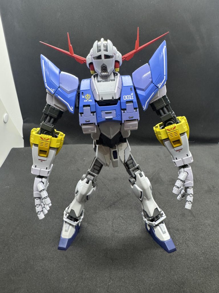 A装備つけてないパーフェクトジオング。チキンレッグですな。