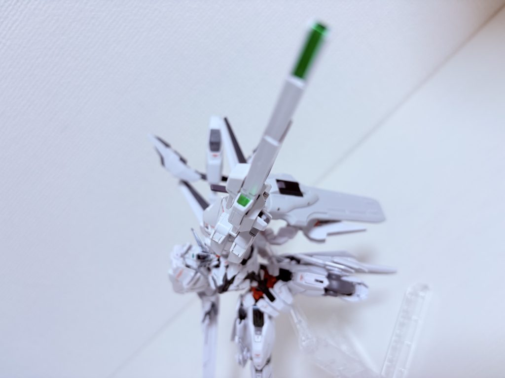 なんか臨場感ある決めポーズ。ブレブレでどこが見せたいのか