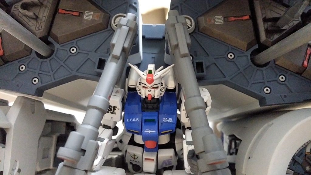 HG　デンドロビウム