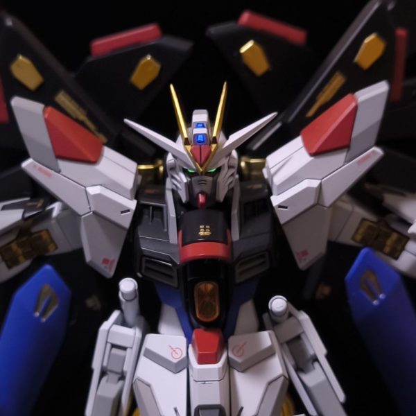 HGCEストライクフリーダムガンダム弐式｜ドス恋マンディブラリス
