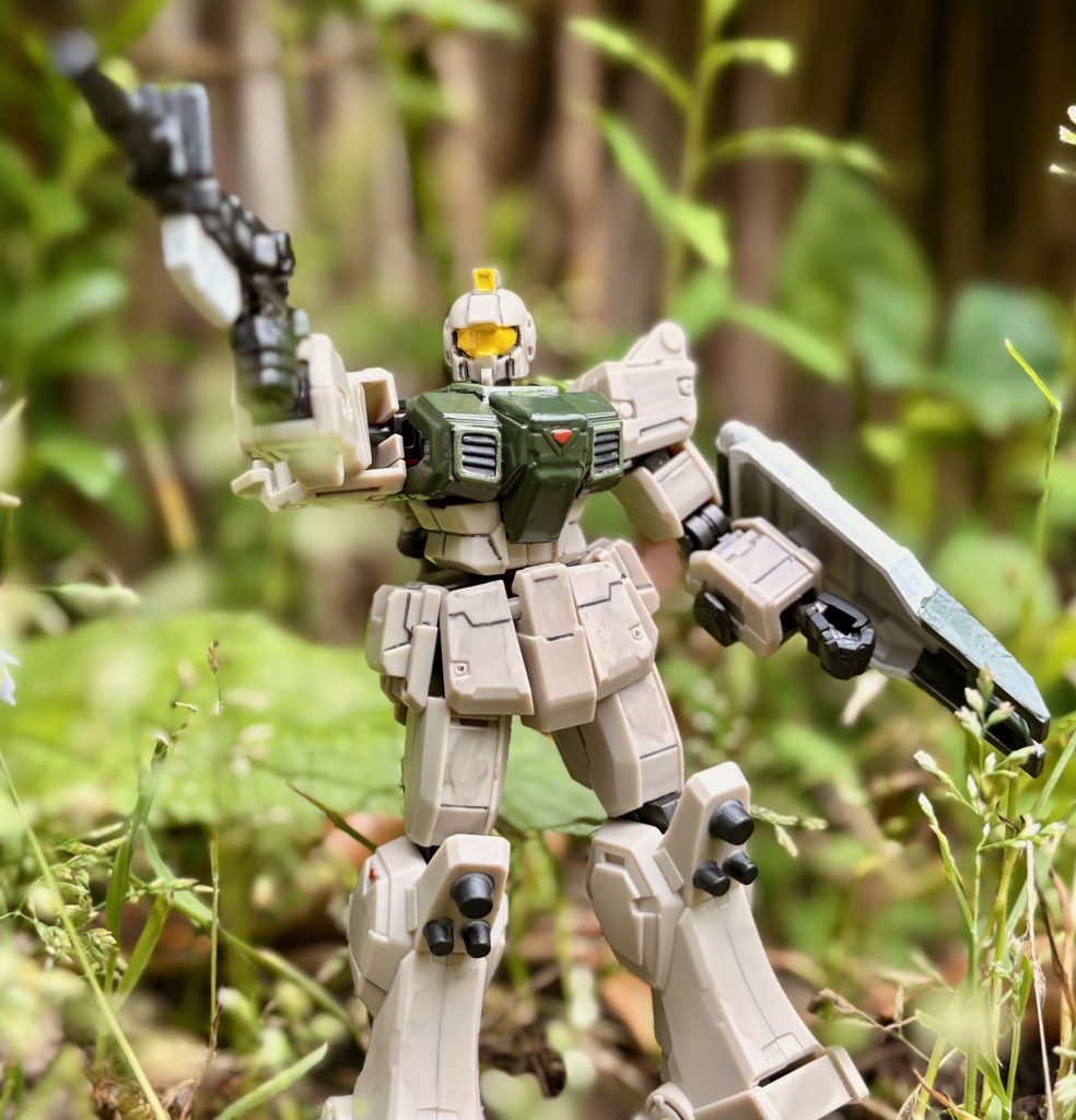 それと撮影当日が曇りで熱帯地方のような感じで撮れるんじゃないかなと思い、野外で撮影しました(zaku-kao2)