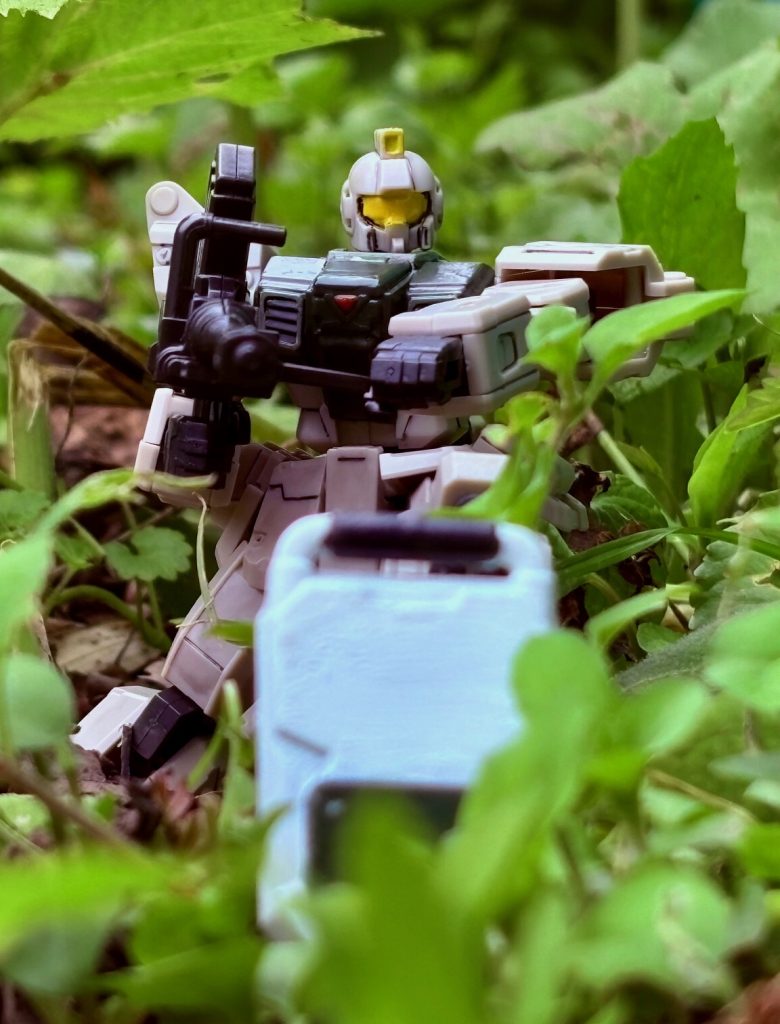 ラストは輝き撃ちの別ショットで〆。