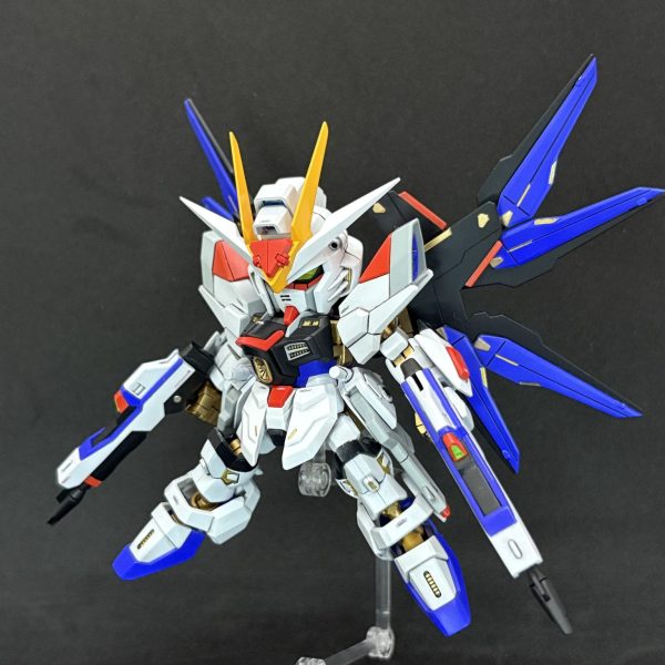 SDCS ストライクフリーダム弐式