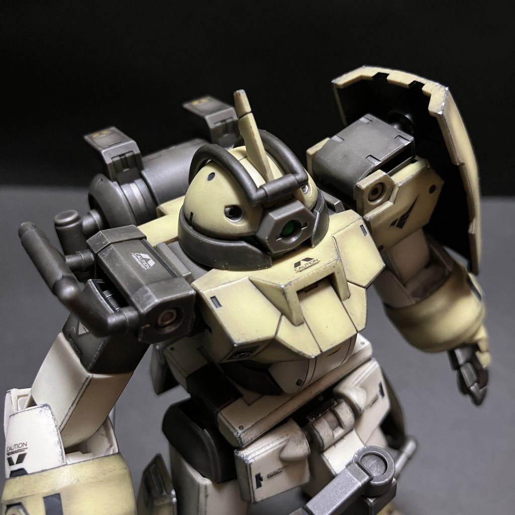 基本、成形色でやらせてもろてます。