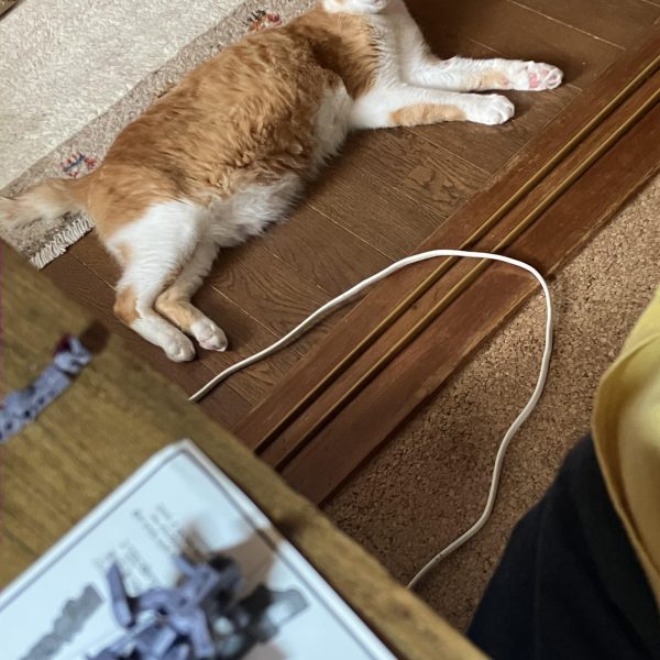 獅電、開始٩( ᐛ )و　今日はパチ組みまでやりました今回は少し手を入れたら、すぐに塗装に入っていくつもりです前回のギャンは盛り込みすぎたので、サクッと制作、積み崩しをしていこうかとσ^_^; 今日は組みながら、ずっとオルフェンズの楽曲を聴いてました🎶皆さんは制作中は音楽聴きますか？  （5枚目）