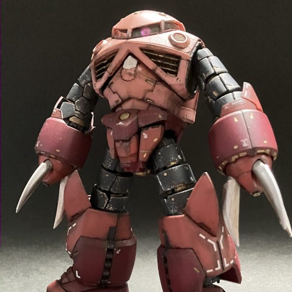 RG 1/144 MSM-07S シャア専用ズゴック