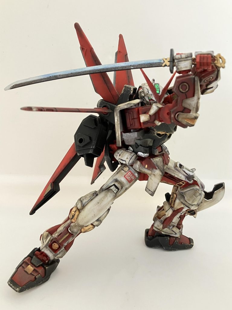 勝利のポーズ。シャキーン！✨