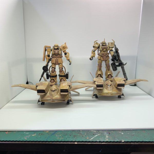 南アフリカ突撃部隊