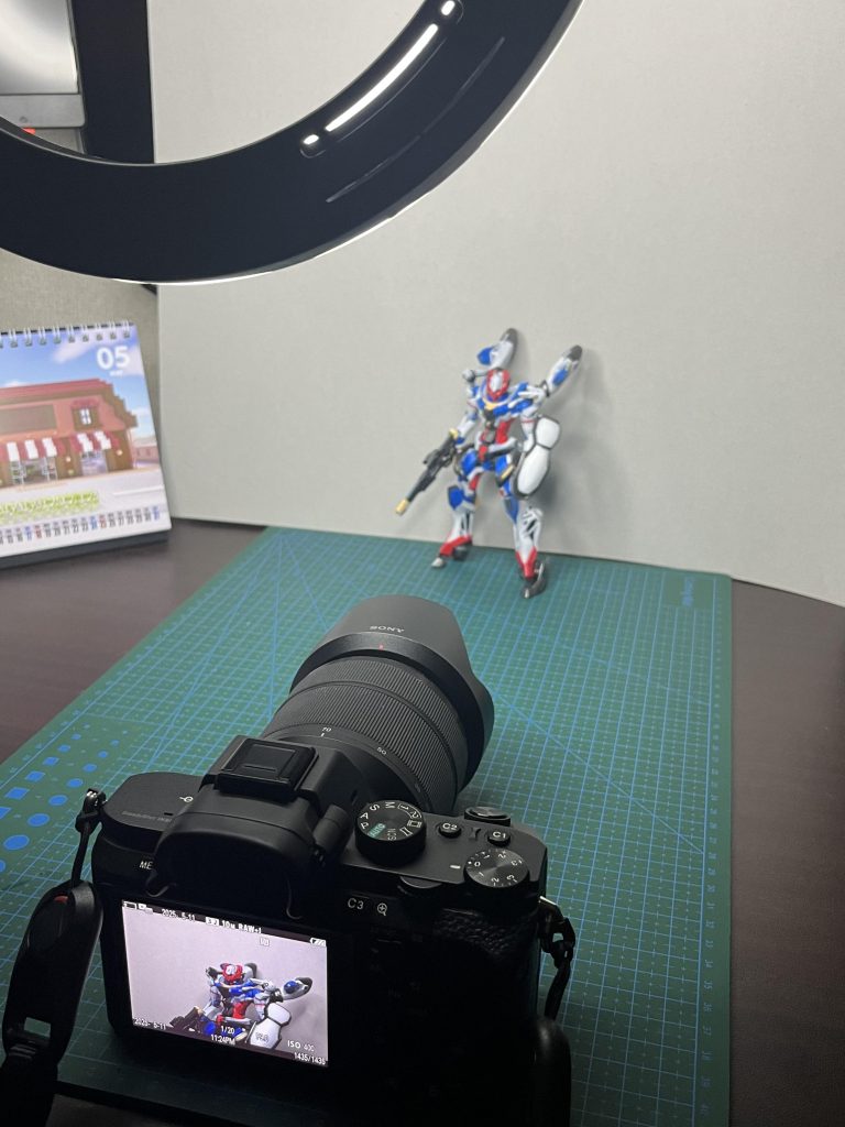 初めてカメラで撮影照明の加減が難しい^^;