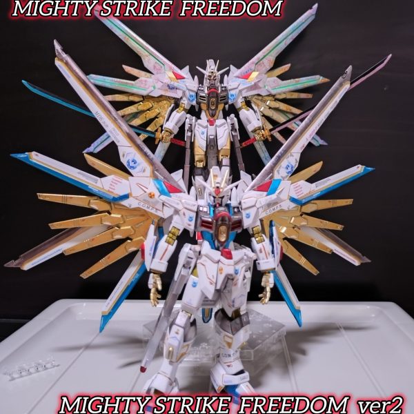 ２機のマイフリ