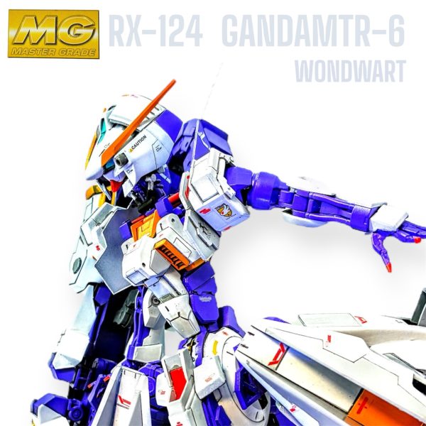 1/100 ウーンドウォート