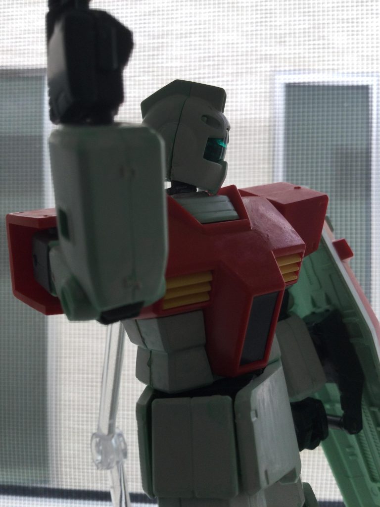 オマケ太陽光とジム。