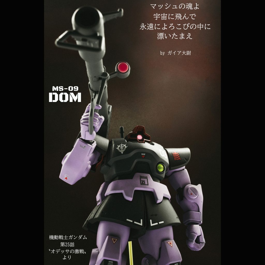 ドム【HGUC】