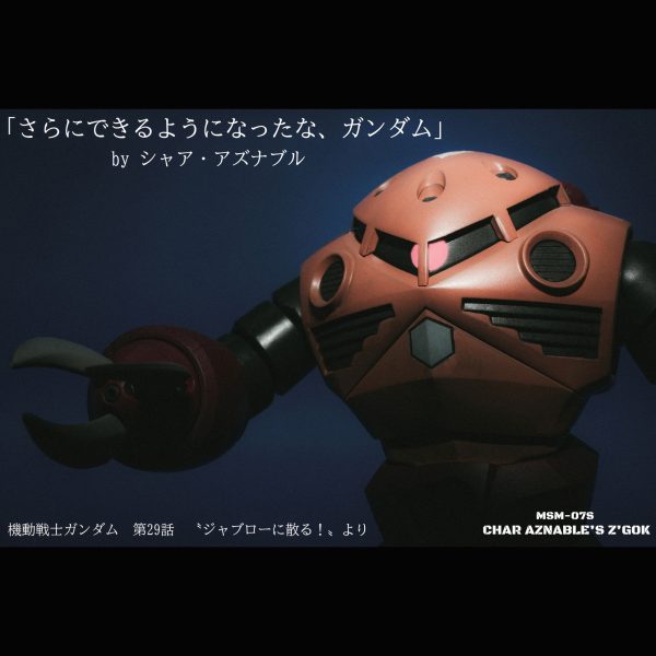 シャア専用ズゴック【HGUC】