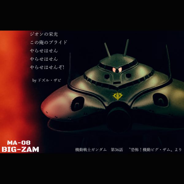 ビグ・ザム【旧キット】