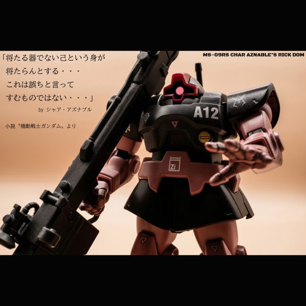 シャア専用リック・ドム【HGUC】