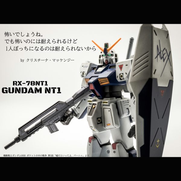 ガンダムNT-1【HGUC】