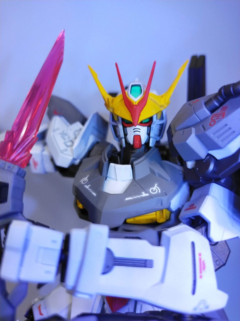 いつもは面倒で写さないビコーンシステム!1/100スケールはしっかり見えるのでやり甲斐があります!