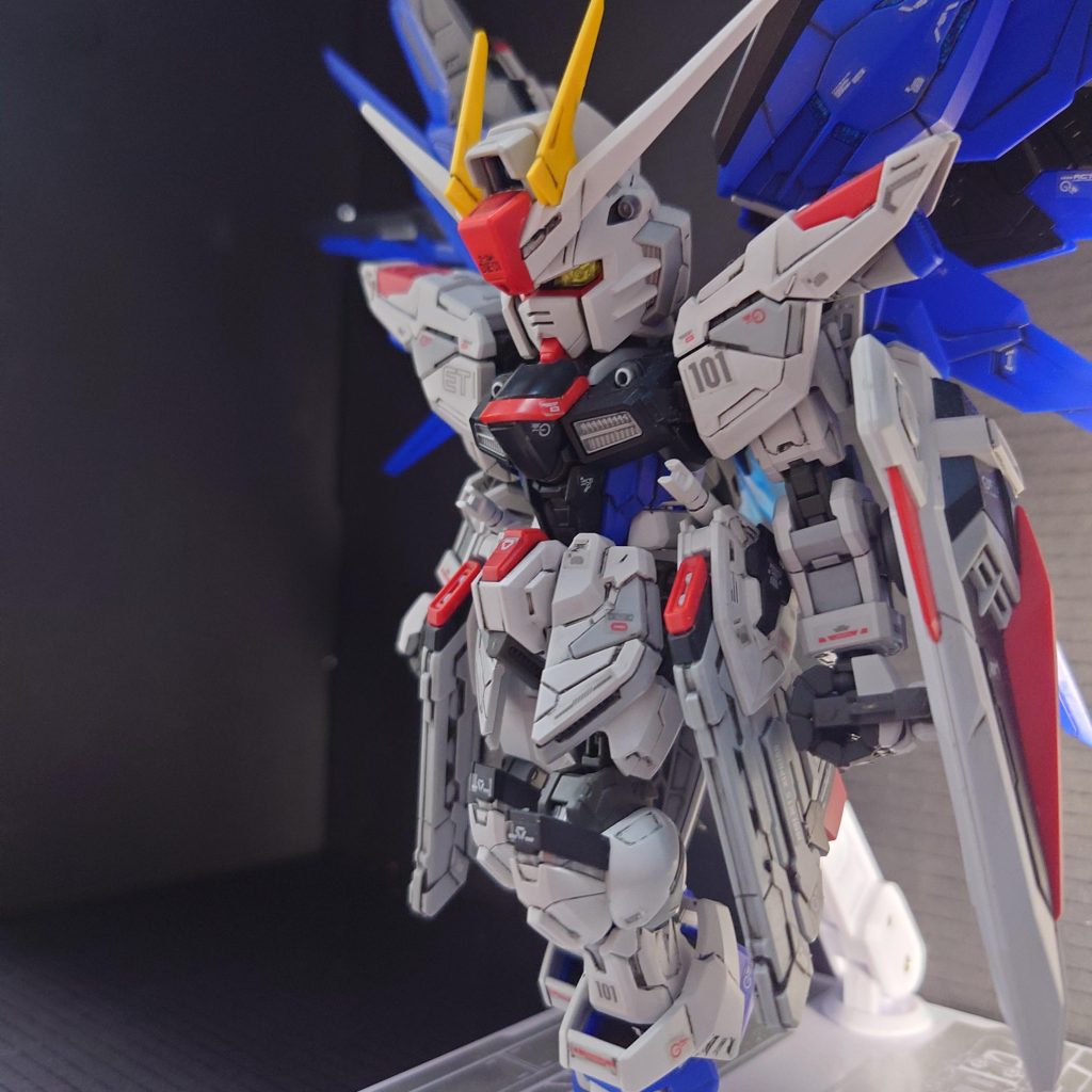 SDMG フリーダムガンダム–5枚目/制作者：xyz