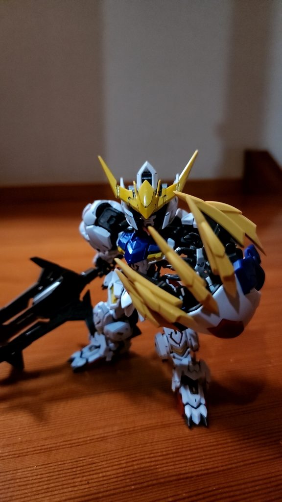 某大陸のジャイアントクロー装着