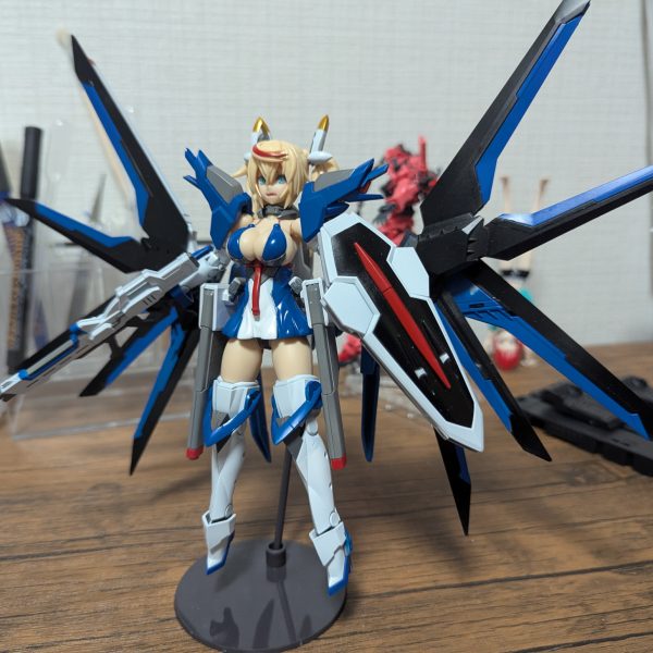 ライジングフリーダムガンダムです。私がそう判断した。（7枚目）