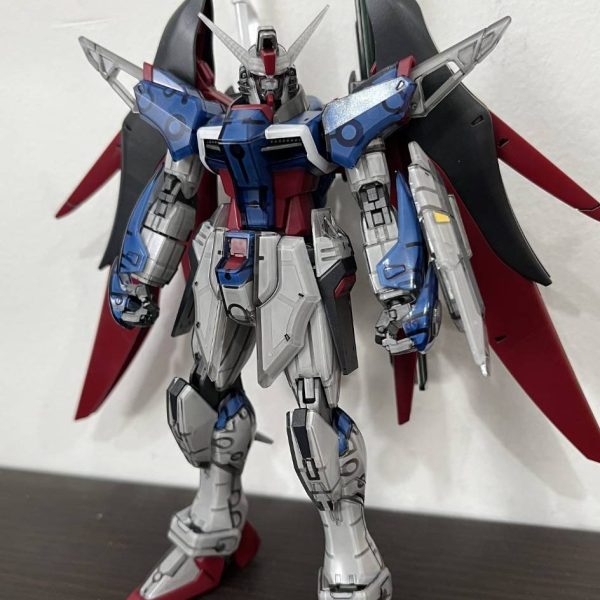hg デスティニーSPEC2 クリアカラー　2体セット販売 HG デスティニーガンダム SpecII ［クリアカラー］ : デンデロの消失