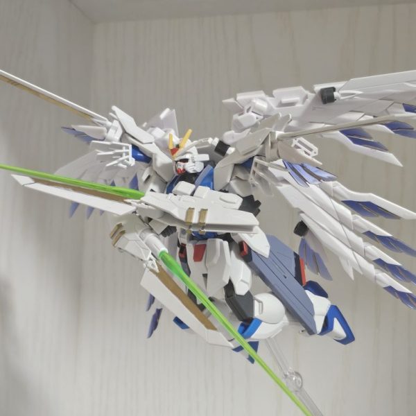 ソーリングフリーダム