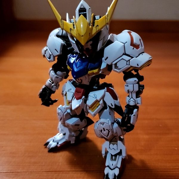 MGSD バルバドス