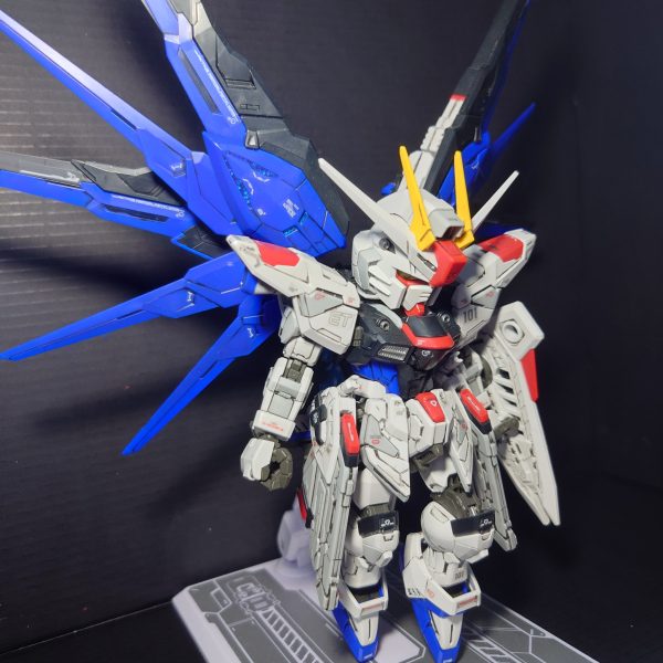 SDMG フリーダムガンダム