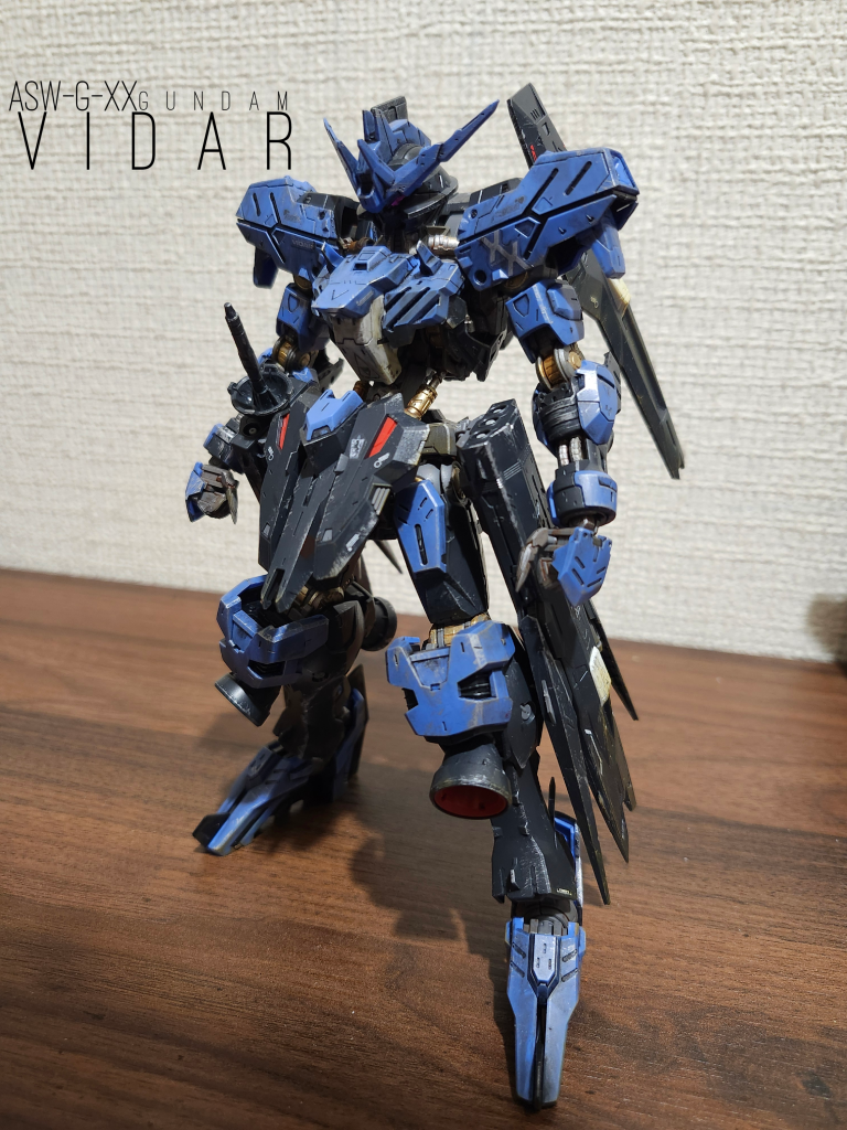 ヴィダール完成！