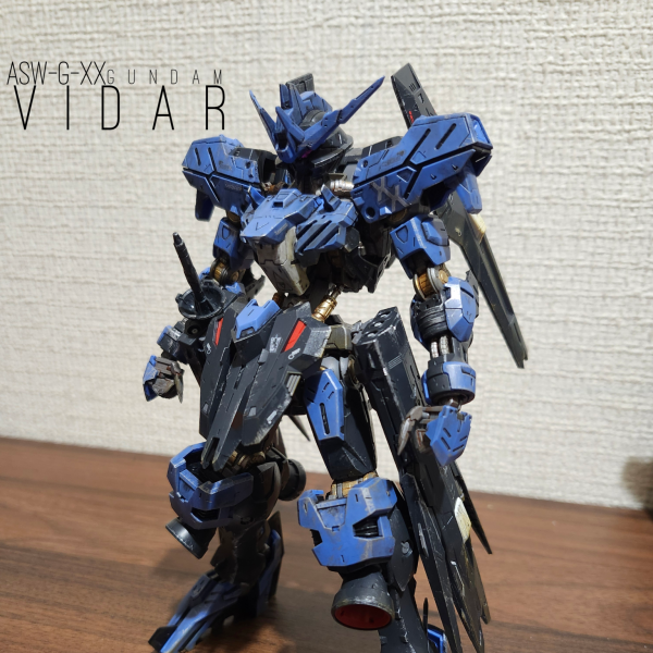 ヴィダール完成！