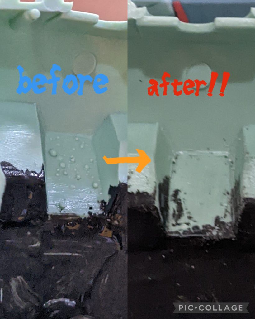 あ…帯状疱疹はちゃんと綺麗にしました（笑）