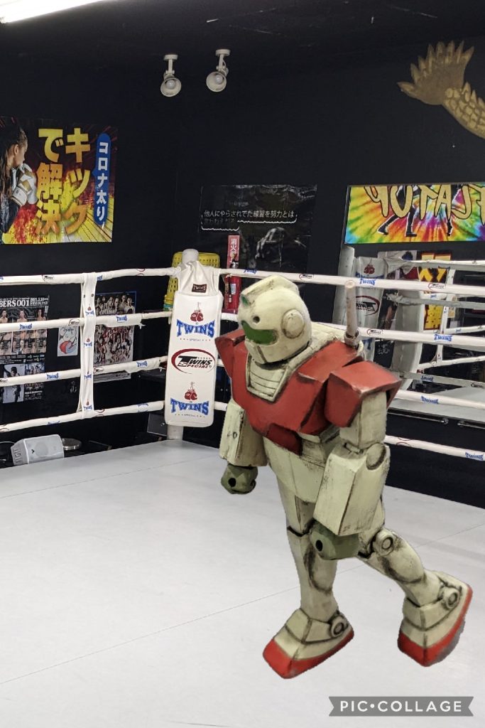 リングアナ「ついにでた！ジムのノーガード