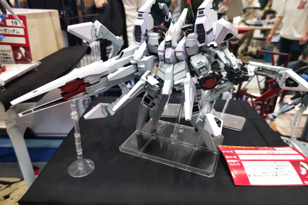RG　デスティニーガンダム+Zsin