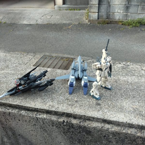 越ヶ浜中学チームハロルドアニマル