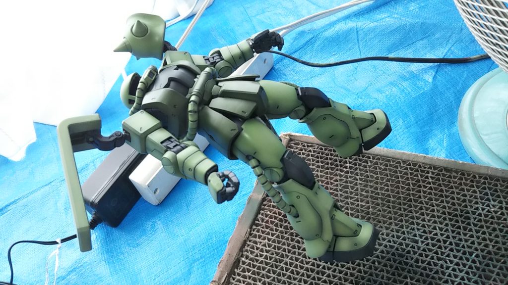 漂っているように見えなくもないか💦