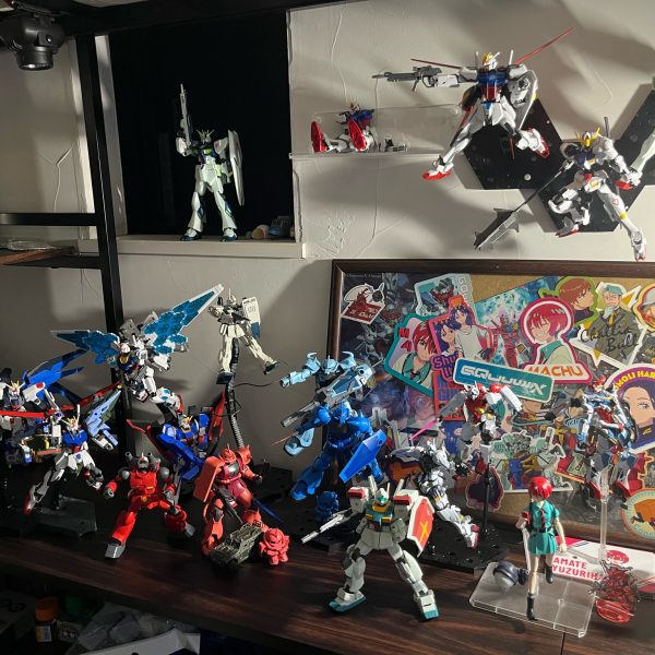 アカウント本格始動ですぜ！！！