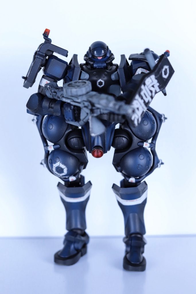 丸みを感じるフォルムしてますよね(zaku-kao5)