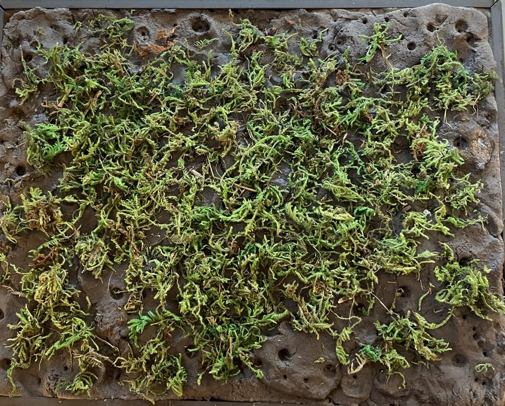 ベース(縦29cm x 横35cm)に粘土を盛って着色後フェイクモスを全体に散りばめたところです。木工ボンドを水で溶いたものを吹き付けて固定しています。ベース上の穴は大小椰子の木を差し込むマウントとなります。大きい椰子の木は13cm、小さいものはダイソーで見つけた7cmのものを使用しています。100均ストアは本当になんでもありますね。驚きです。