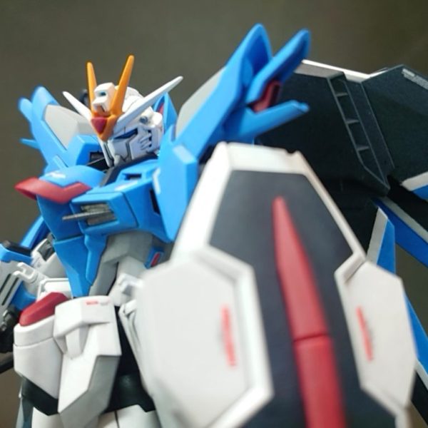 HGCE STTS-909 ライジングフリーダムガンダム